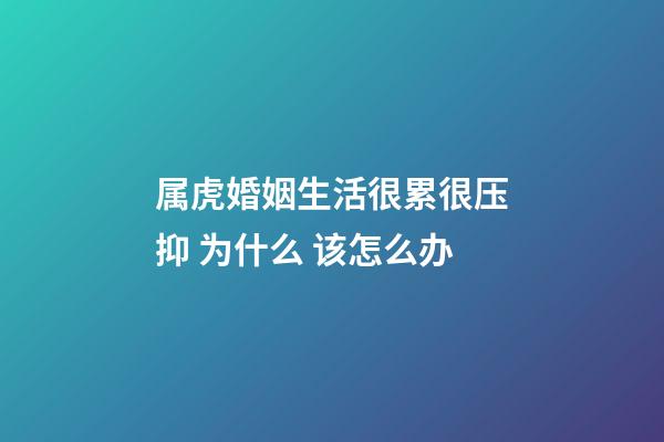 属虎婚姻生活很累很压抑 为什么 该怎么办